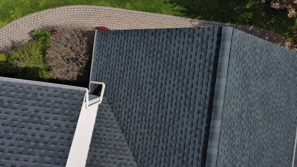 Best Roof Moss and Algae Removal  in Mammoth Spring, AR