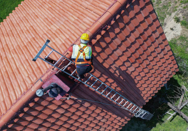 Best Roof Maintenance and Cleaning  in Mammoth Spring, AR